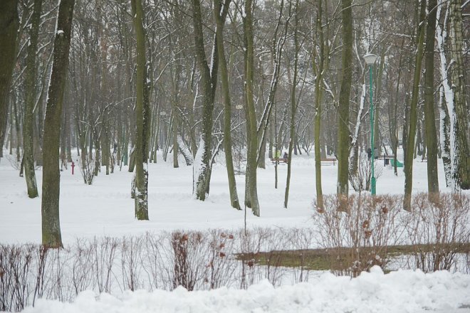 Pierwszy dzień wiosny w Ostrołęce [21 III 2013] - zdjęcie #3 - eOstroleka.pl