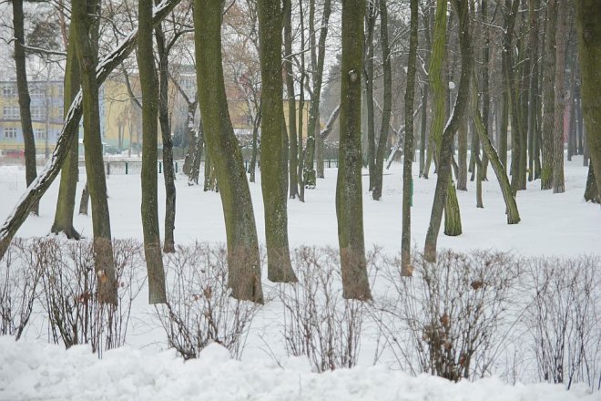 Pierwszy dzień wiosny w Ostrołęce [21 III 2013] - zdjęcie #2 - eOstroleka.pl