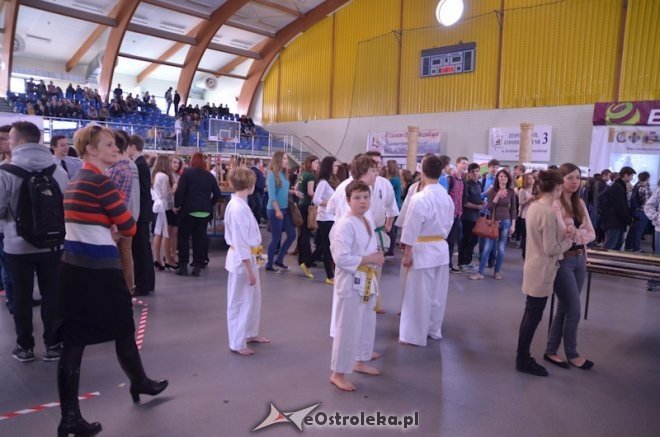 XI Prezentacje edukacyjne [22.03.2013] - zdjęcie #139 - eOstroleka.pl