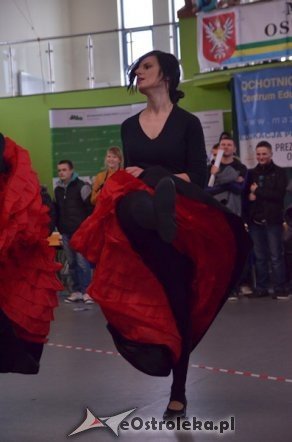 XI Prezentacje edukacyjne [22.03.2013] - zdjęcie #61 - eOstroleka.pl
