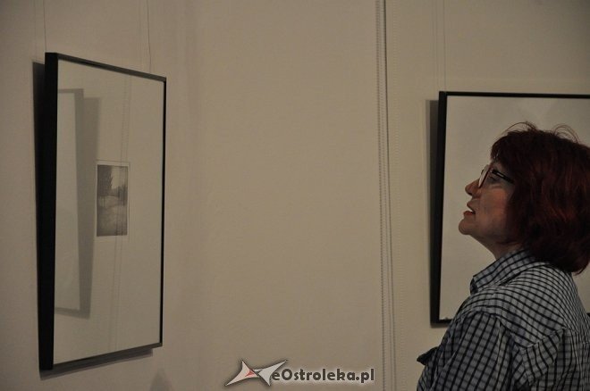 Grafiki Agnieszki Nowackiej - zdjęcie #42 - eOstroleka.pl