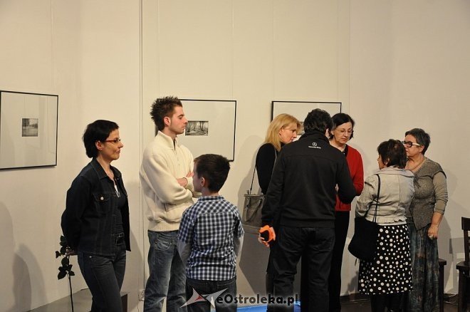 Grafiki Agnieszki Nowackiej - zdjęcie #31 - eOstroleka.pl