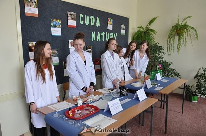 Festiwal Nauki w Zespole Szkół nr. 5 w Ostrołęce [09.04.2013] - zdjęcie #76 - eOstroleka.pl