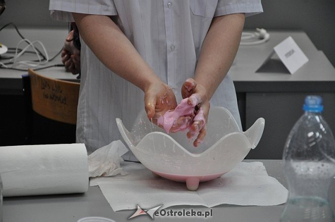 Festiwal Nauki w Zespole Szkół nr. 5 w Ostrołęce [09.04.2013] - zdjęcie #19 - eOstroleka.pl