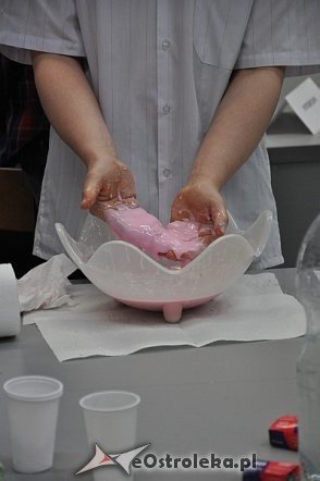 Festiwal Nauki w Zespole Szkół nr. 5 w Ostrołęce [09.04.2013] - zdjęcie #18 - eOstroleka.pl