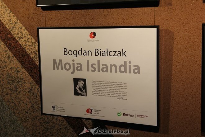 Wernisaż wystawy Bogdana Białczaka [12.04.2013 - zdjęcie #38 - eOstroleka.pl