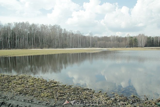 Poziom wód ostrołęckich rzek [13.04.2013] - zdjęcie #3 - eOstroleka.pl