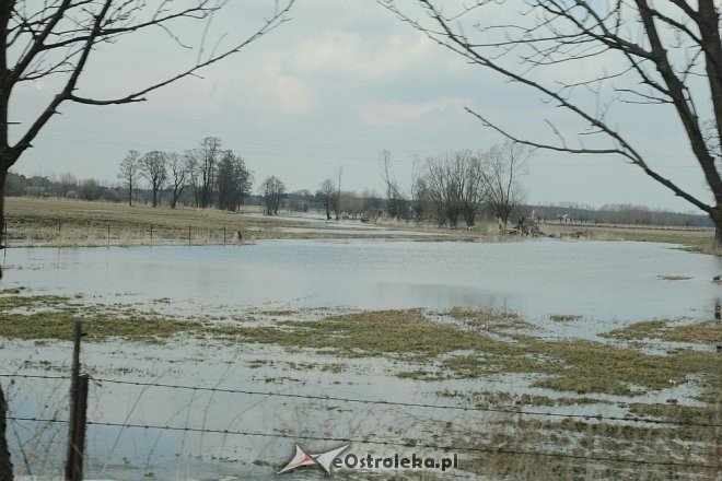 Poziom wód ostrołęckich rzek [13.04.2013] - zdjęcie #7 - eOstroleka.pl
