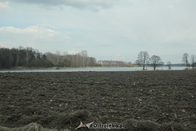 Poziom wód ostrołęckich rzek [13.04.2013] - zdjęcie #8 - eOstroleka.pl