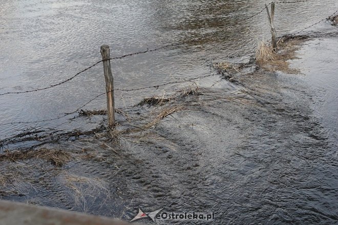 Poziom wód ostrołęckich rzek [13.04.2013] - zdjęcie #9 - eOstroleka.pl
