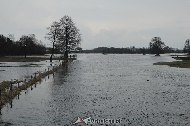 Poziom wód ostrołęckich rzek [13.04.2013] - zdjęcie #10 - eOstroleka.pl