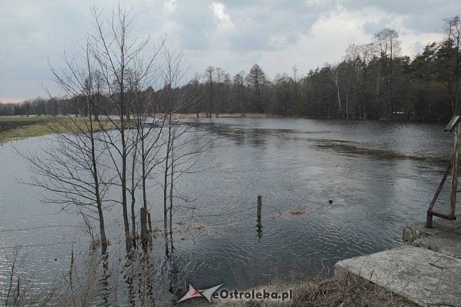 Poziom wód ostrołęckich rzek [13.04.2013] - zdjęcie #11 - eOstroleka.pl