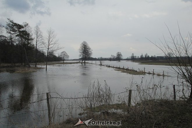 Poziom wód ostrołęckich rzek [13.04.2013] - zdjęcie #13 - eOstroleka.pl