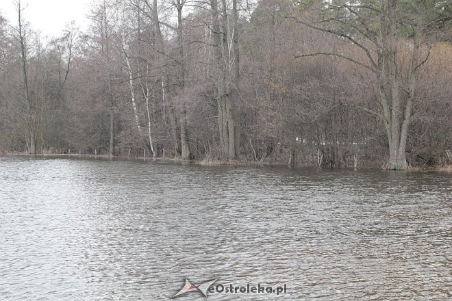 Poziom wód ostrołęckich rzek [13.04.2013] - zdjęcie #14 - eOstroleka.pl