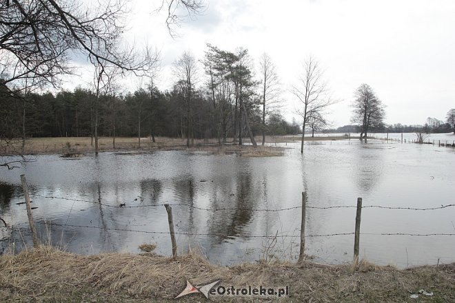 Poziom wód ostrołęckich rzek [13.04.2013] - zdjęcie #15 - eOstroleka.pl