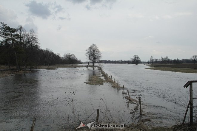 Poziom wód ostrołęckich rzek [13.04.2013] - zdjęcie #16 - eOstroleka.pl