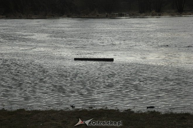 Poziom wód ostrołęckich rzek [13.04.2013] - zdjęcie #22 - eOstroleka.pl