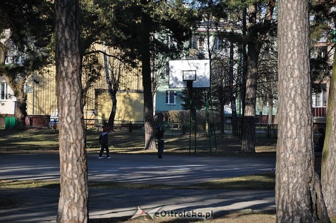 Wiosna w Ostrołęce [17.04.2013] - zdjęcie #13 - eOstroleka.pl