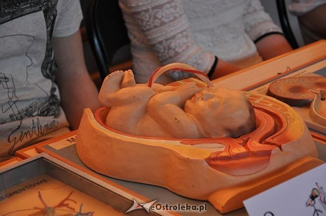 V Festiwal nauki w II LO [18.04.2013] - zdjęcie #46 - eOstroleka.pl