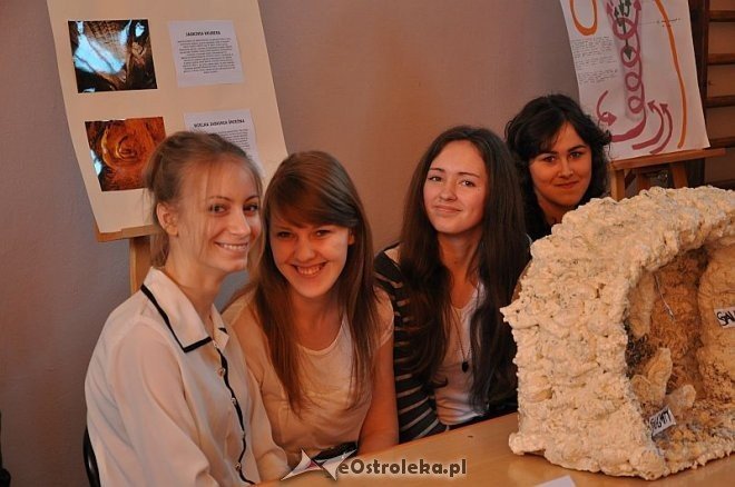 V Festiwal nauki w II LO [18.04.2013] - zdjęcie #40 - eOstroleka.pl