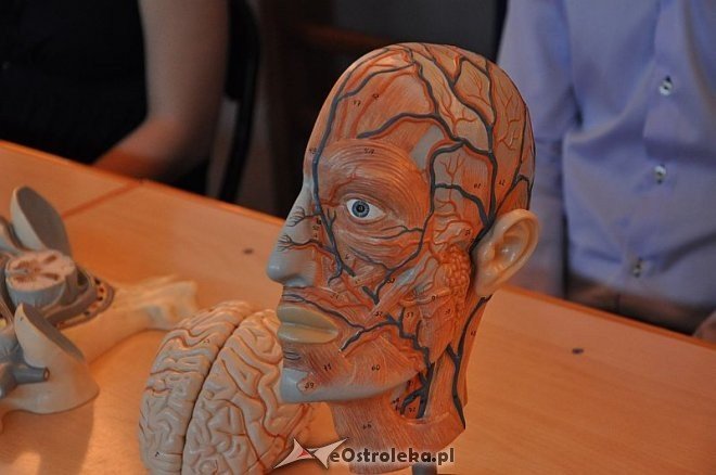 V Festiwal nauki w II LO [18.04.2013] - zdjęcie #27 - eOstroleka.pl