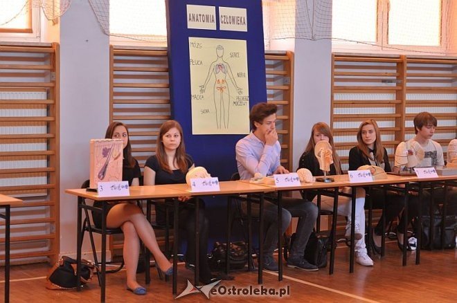 V Festiwal nauki w II LO [18.04.2013] - zdjęcie #25 - eOstroleka.pl