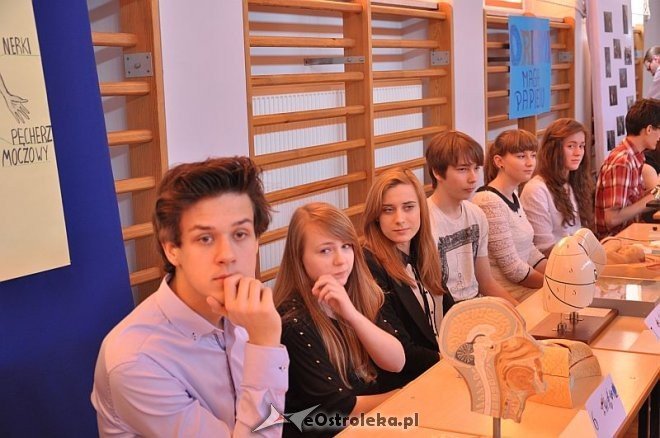 V Festiwal nauki w II LO [18.04.2013] - zdjęcie #13 - eOstroleka.pl