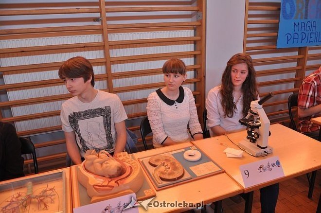 V Festiwal nauki w II LO [18.04.2013] - zdjęcie #12 - eOstroleka.pl