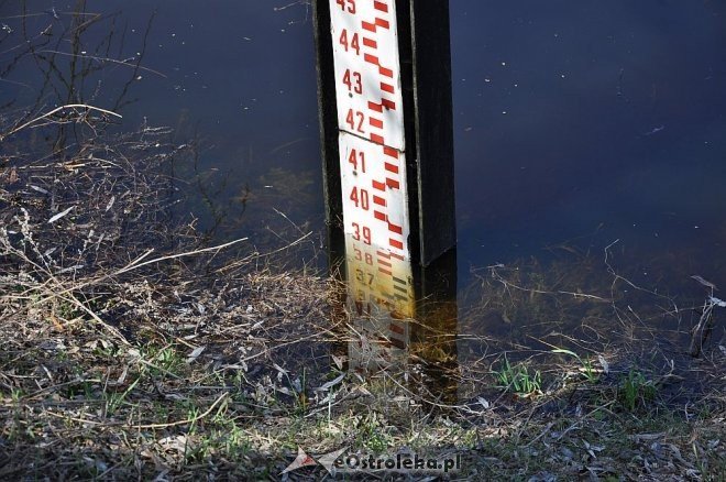 Woda w Narwi przekroczyła już 4 metry [22.04.2013] - zdjęcie #1 - eOstroleka.pl