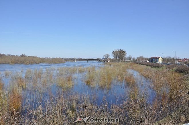 Woda w Narwi przekroczyła już 4 metry [22.04.2013] - zdjęcie #3 - eOstroleka.pl