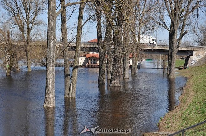 Woda w Narwi przekroczyła już 4 metry [22.04.2013] - zdjęcie #5 - eOstroleka.pl