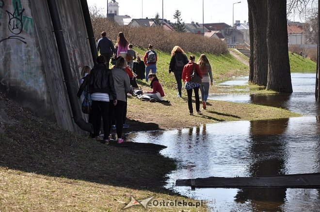 Woda w Narwi przekroczyła już 4 metry [22.04.2013] - zdjęcie #9 - eOstroleka.pl