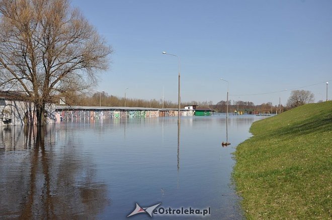 Woda w Narwi przekroczyła już 4 metry [22.04.2013] - zdjęcie #12 - eOstroleka.pl