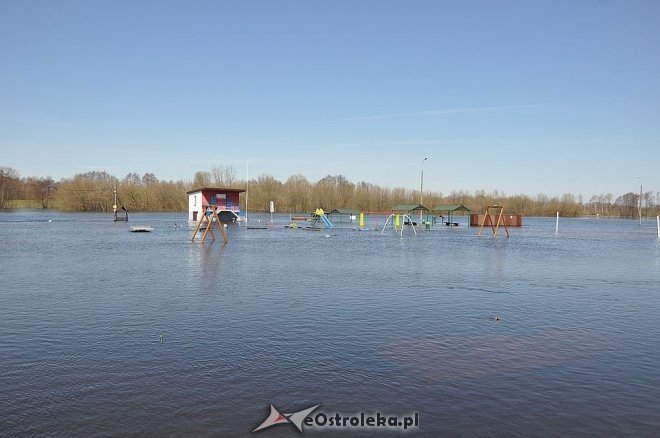Woda w Narwi przekroczyła już 4 metry [22.04.2013] - zdjęcie #15 - eOstroleka.pl