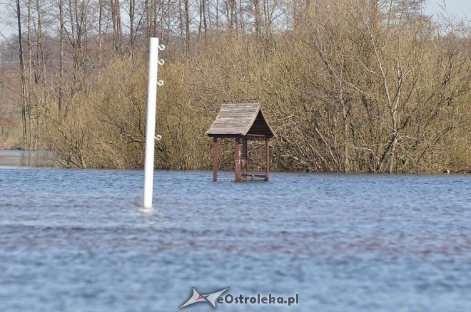 Woda w Narwi przekroczyła już 4 metry [22.04.2013] - zdjęcie #22 - eOstroleka.pl
