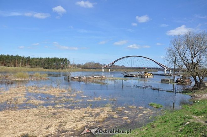 Ostrołęka: Narew przekroczyła już 4 metry [24.04.2013] - zdjęcie #23 - eOstroleka.pl