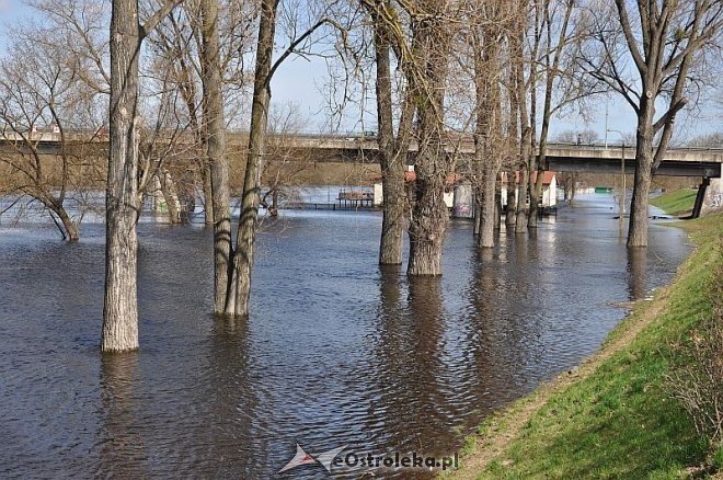Ostrołęka: Narew przekroczyła już 4 metry [24.04.2013] - zdjęcie #15 - eOstroleka.pl