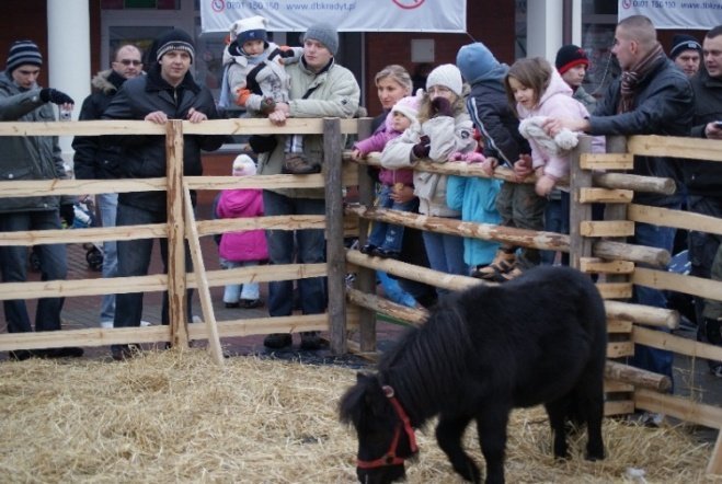 Wigilia Miejska (20.12.2008) - zdjęcie #46 - eOstroleka.pl