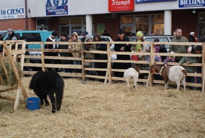 Wigilia Miejska (20.12.2008) - zdjęcie #23 - eOstroleka.pl