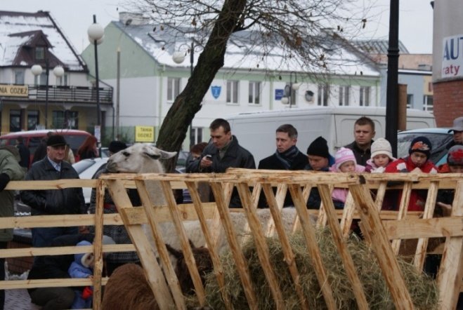 Wigilia Miejska (20.12.2008) - zdjęcie #20 - eOstroleka.pl