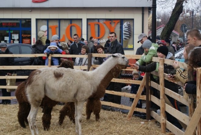 Wigilia Miejska (20.12.2008) - zdjęcie #18 - eOstroleka.pl