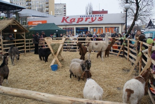 Wigilia Miejska (20.12.2008) - zdjęcie #16 - eOstroleka.pl