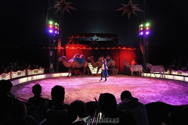 Cyrk Korona w Ostrołęce [24.04.2013] - zdjęcie #102 - eOstroleka.pl