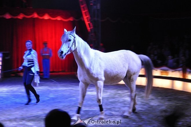 Cyrk Korona w Ostrołęce [24.04.2013] - zdjęcie #92 - eOstroleka.pl
