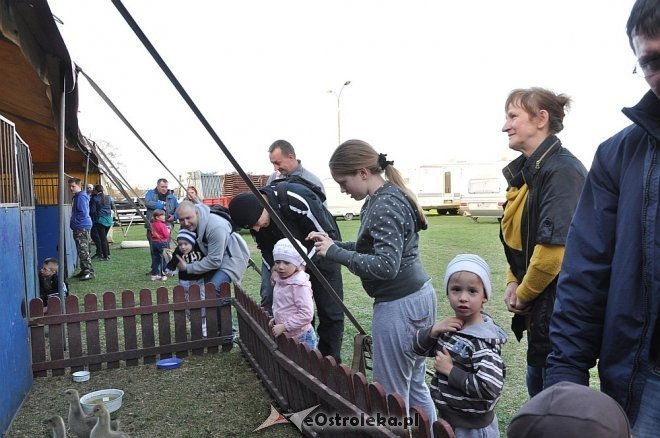Cyrk Korona w Ostrołęce [24.04.2013] - zdjęcie #50 - eOstroleka.pl