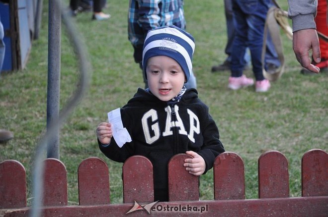 Cyrk Korona w Ostrołęce [24.04.2013] - zdjęcie #46 - eOstroleka.pl