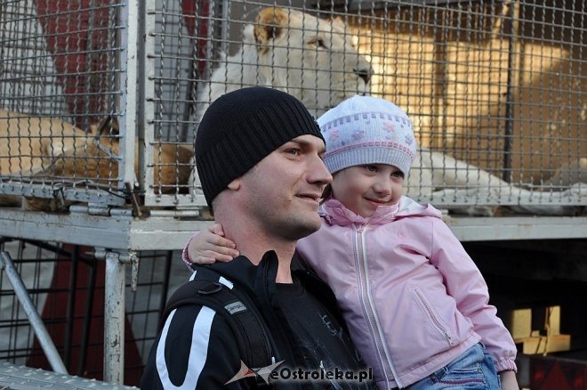 Cyrk Korona w Ostrołęce [24.04.2013] - zdjęcie #49 - eOstroleka.pl