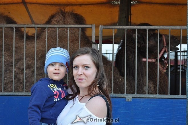 Cyrk Korona w Ostrołęce [24.04.2013] - zdjęcie #44 - eOstroleka.pl