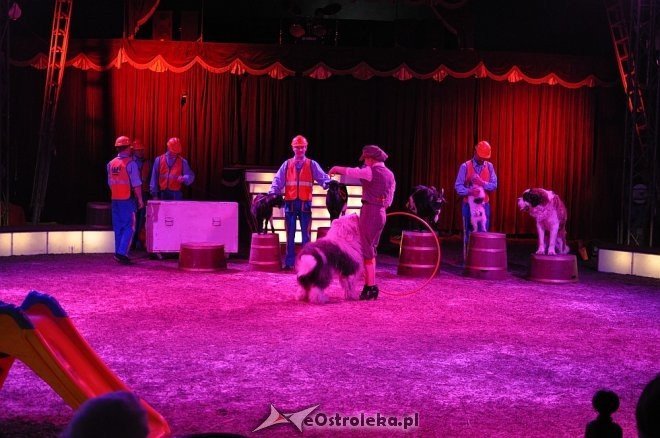Cyrk Korona w Ostrołęce [24.04.2013] - zdjęcie #28 - eOstroleka.pl