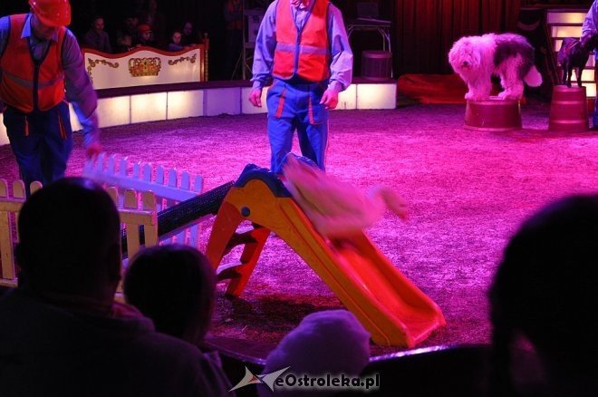Cyrk Korona w Ostrołęce [24.04.2013] - zdjęcie #26 - eOstroleka.pl
